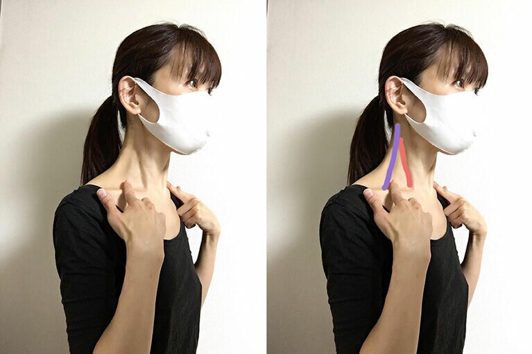 赤と青の2本のラインを指先で優しくなぞってケア。スタートする首のつけ根部分が詰まって固くなっている場合は、最初に親指の腹で少し押して圧をかけて、円を描くようにして優しくほぐすとリンパが流れやすくなるそう。
