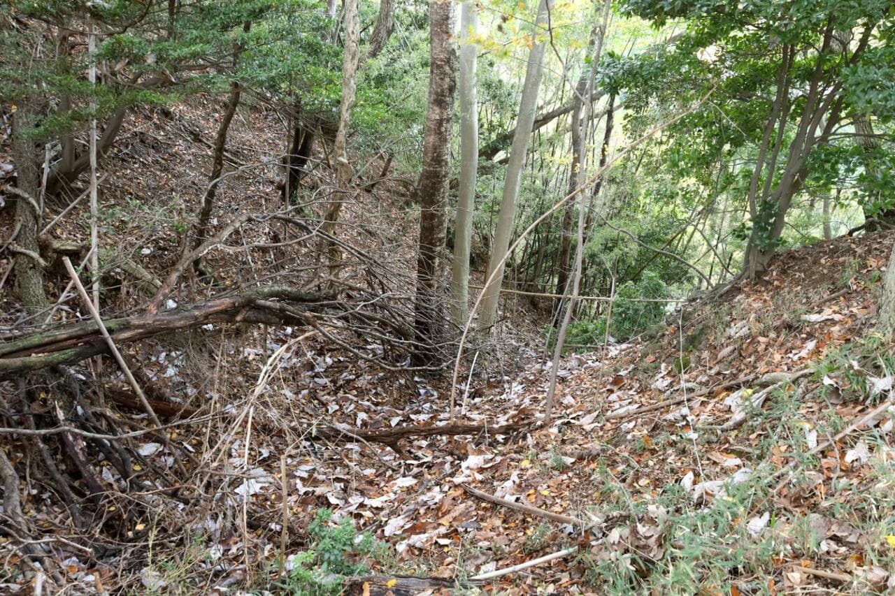 堀切から西側のみ竪堀が落ちている