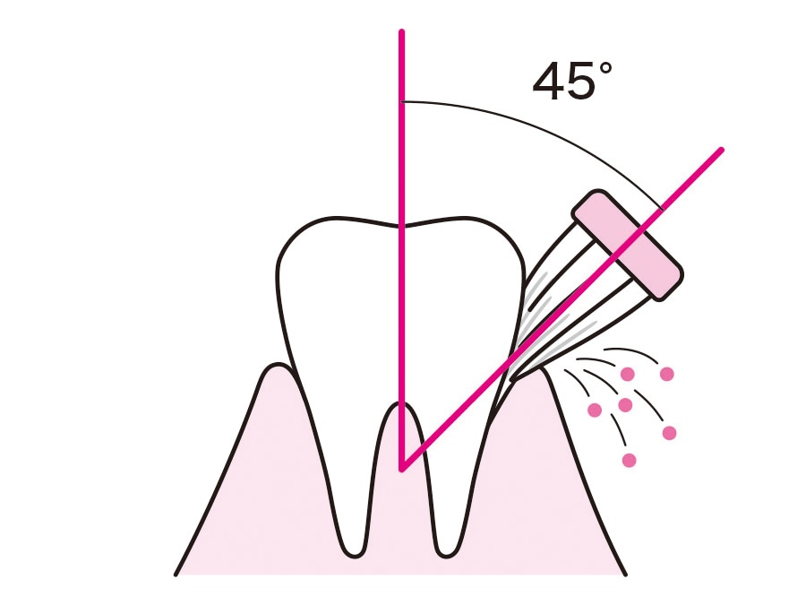 歯茎に対して45度。©森マサコ