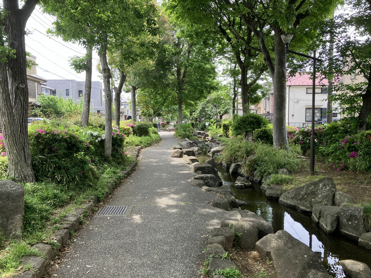 見沼代親水公園を下っていく