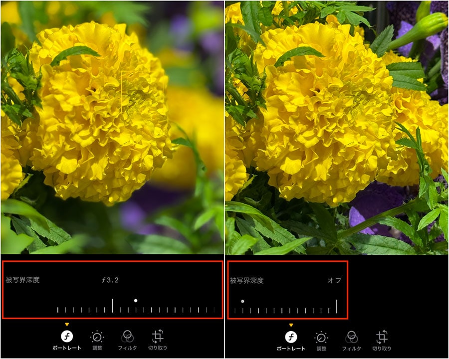 被写界深度の数値を低くするほど背景のボケが強くなる。