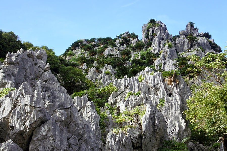 海洋プレートに乗っていた石灰岩が盛り上がって生まれたカルスト地形の大石林山。