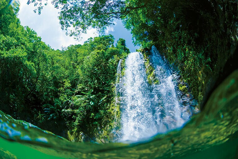 【大宜味村】マイナスイオンに溢れるター滝。