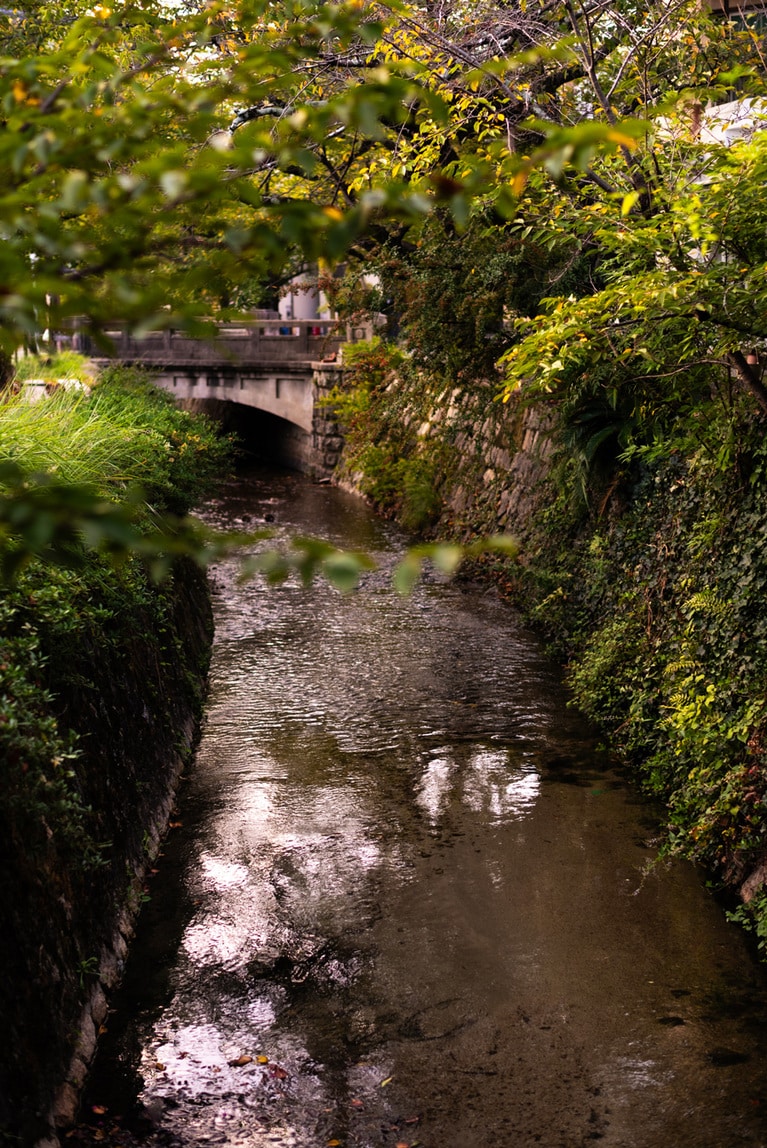 哲学の道沿いを流れるのは、実は川ではなく疎水。