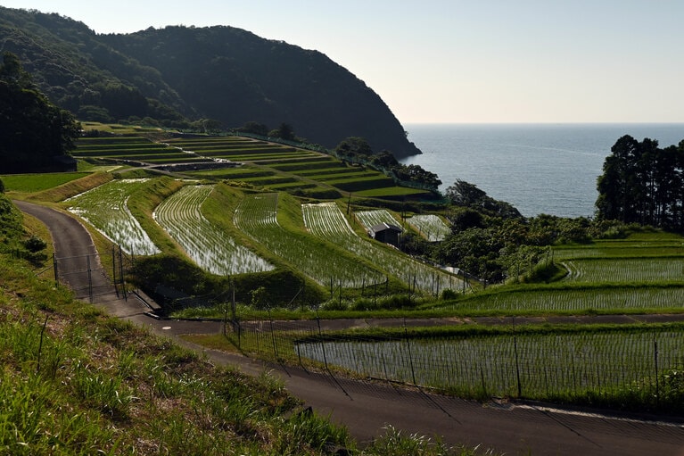 小浜の市街から北へいった内外海地区の棚田。百人一首にも、ここから見える海の美しさは詠まれました。