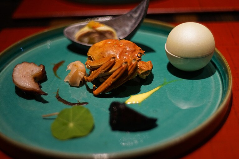 美しく盛りつけられた前菜が登場。