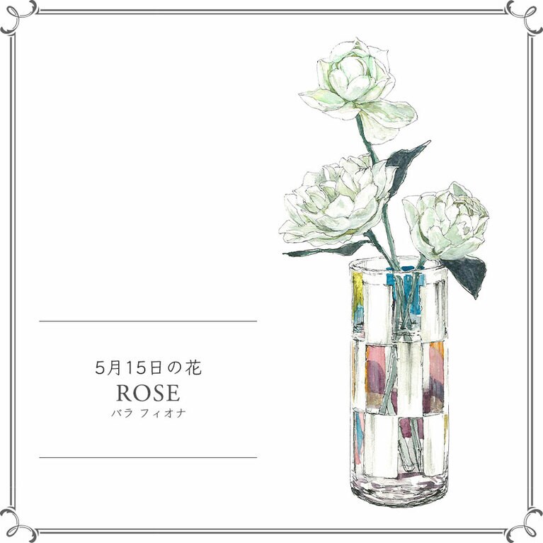 5月15日の花「バラ フィオナ」