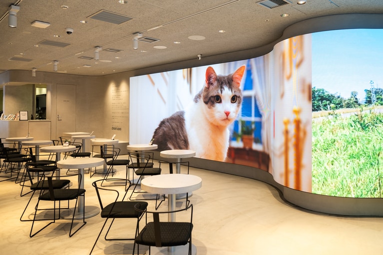 臨場感あふれる、ディスプレイが主役。映像がより映えるようにグレーで統一されたモダンな店内。