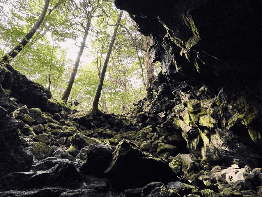 青木ヶ原樹海内にある天然記念物・竜宮洞穴。夏場でも涼しい天然のクーラーだ。