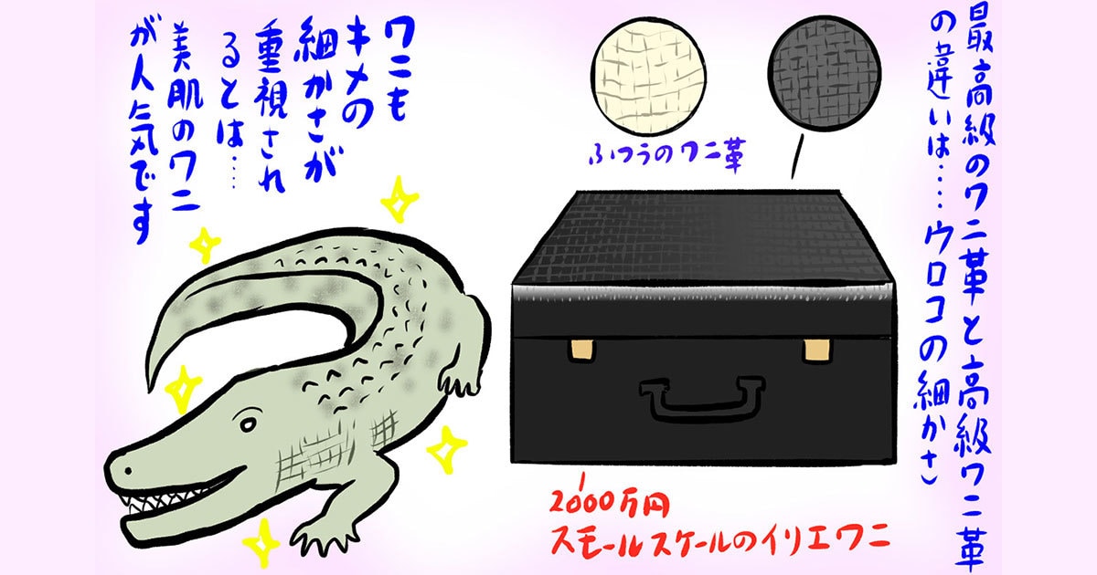 3ページ目)羽生結弦や2000万円相当ワニ革バッグ めくるめく「世界の