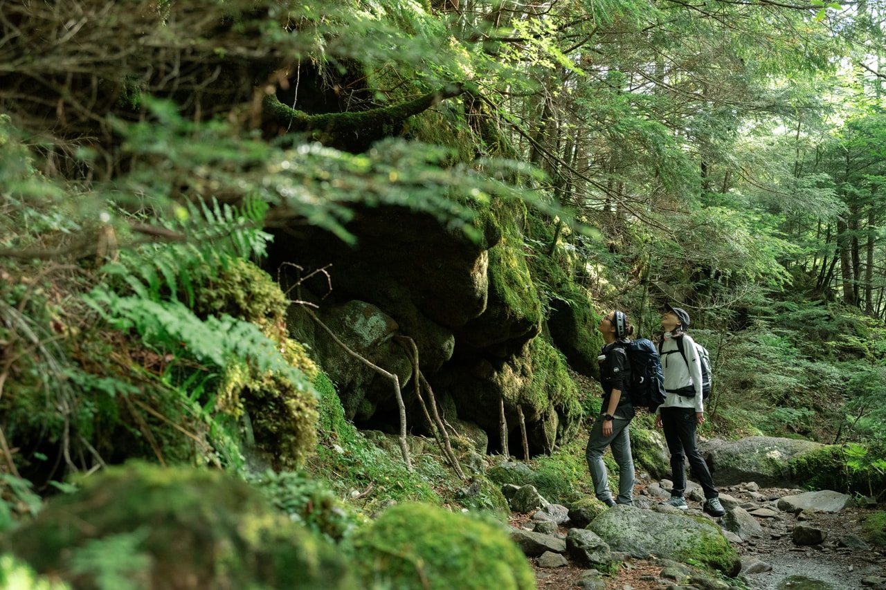 苔の深い緑が散りばめられ、まるでジブリの世界にいるみたい。