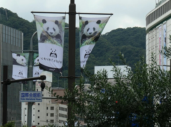2020年に予定されたタンタンの帰国を前に、神戸の三宮で「ありがとうタンタン」。