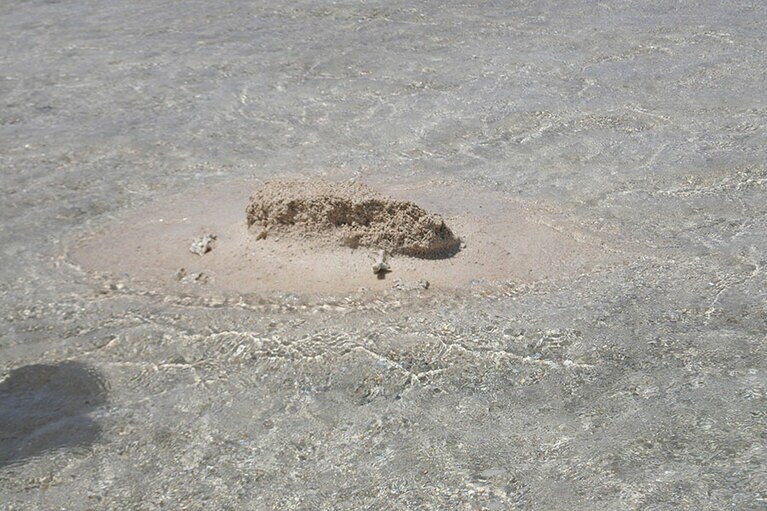 誰かが作った幻のビーチ。年の数だけ星の砂を拾うと、幸せになるらしいけれど……。