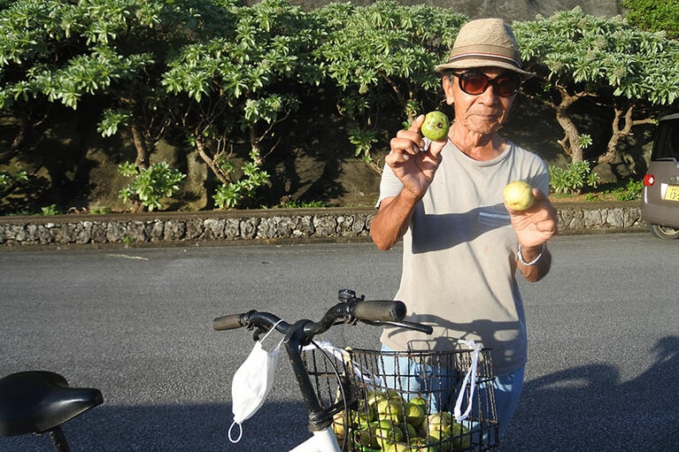 通りすがりの島民さん。野生のグァバをいただきました！　本当のグァバ、初めて食べた！