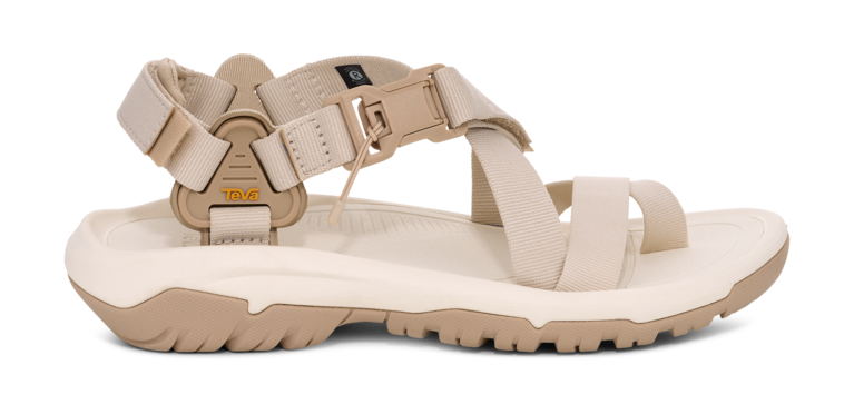 「Hurricane Terra Dactyl」