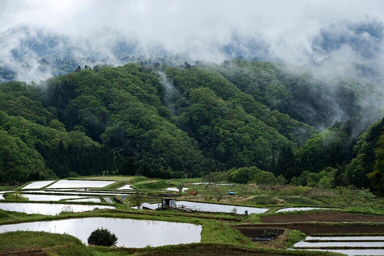 棚田の風景が広がる雲南・山王寺地区。
