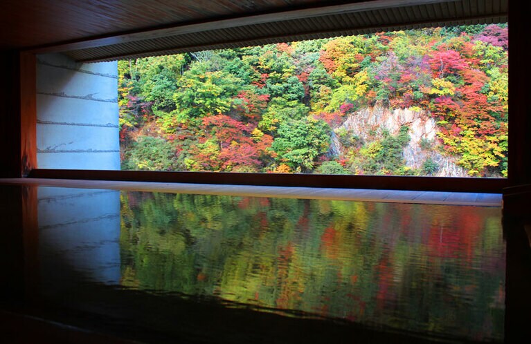 黒部峡谷の絶景を眺める、樹齢約400年の総檜露天風呂「華の湯」。