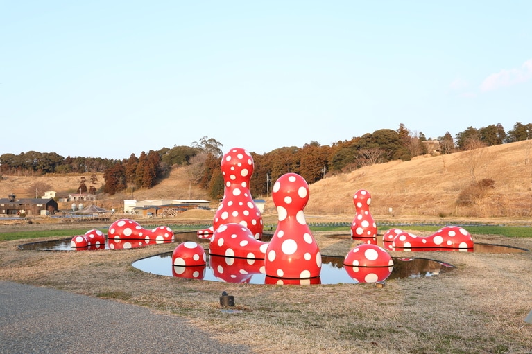草間彌生は、幼少期の幻視・幻聴体験から、網や水玉をモチーフにした作品を数多く制作している。 草間彌生〈新たなる空間への道標〉2016年 ©YAYOI KUSAMA, Courtesy of Ota Fine Arts。画像転載不可