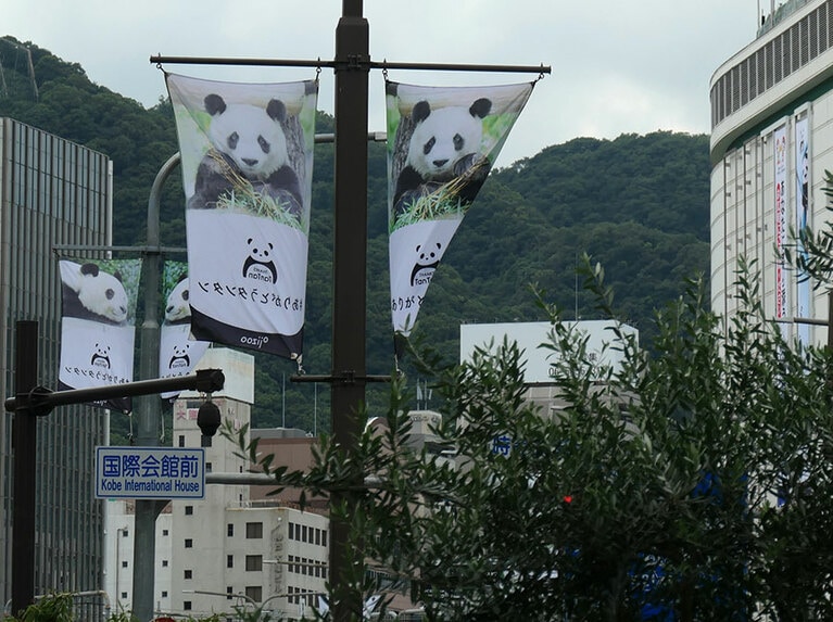2020年に予定されたタンタンの帰国を前に、神戸の三宮で「ありがとうタンタン」。