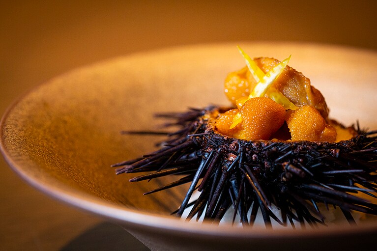 パーク ハイアット ニセコ HANAZONO［北海道／花園温泉］レストラン鉄板の料理一例。