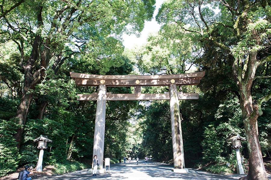 初詣では毎年、日本一の参拝者数を誇る明治神宫。1920年創建、今年100年を迎える。