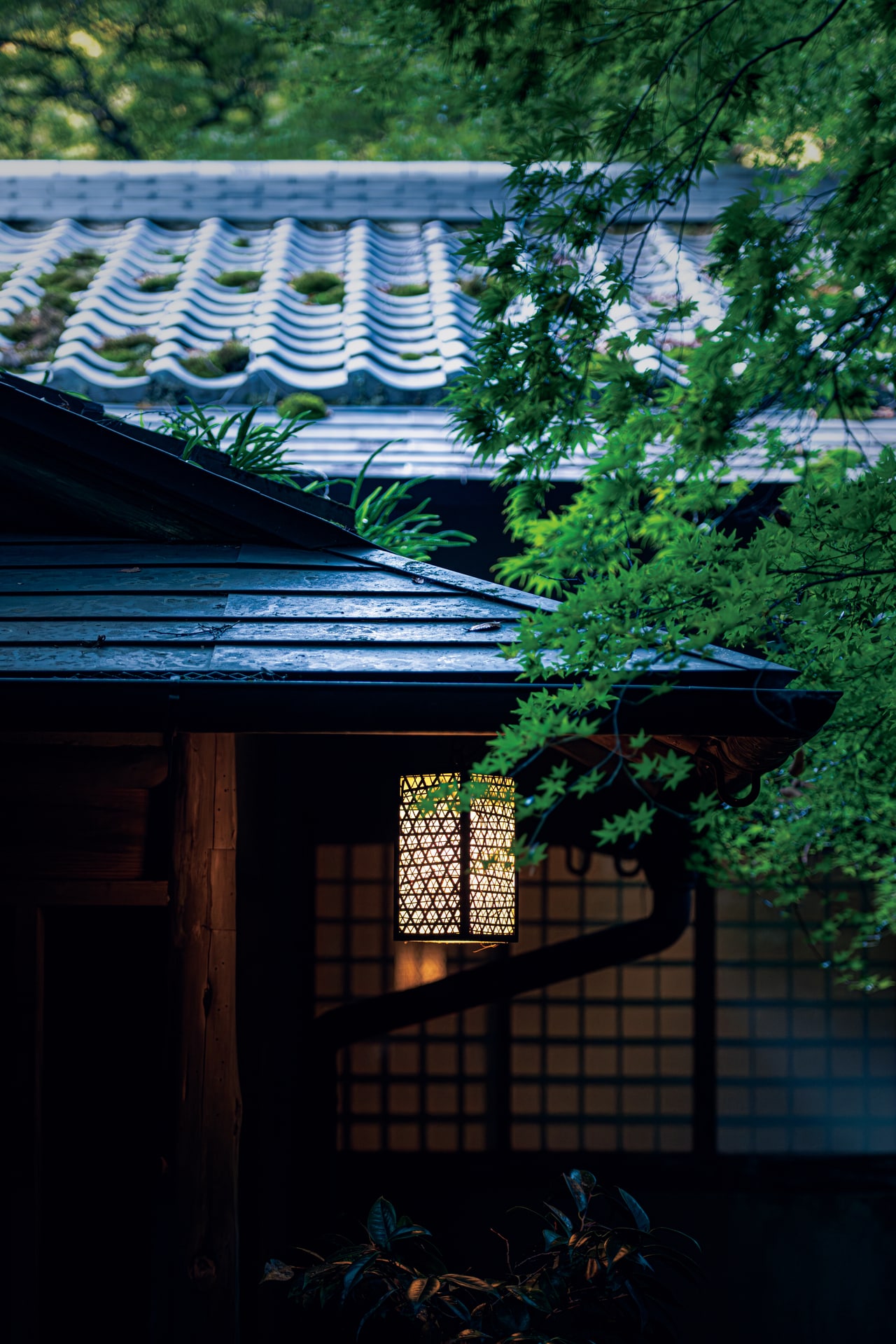 重厚感の漂う建築は約100年前のもの。