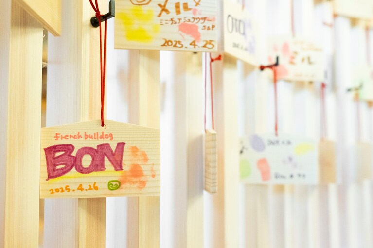 色鮮やかにペイントされた絵馬が並ぶ、賑やかな展示スペース。