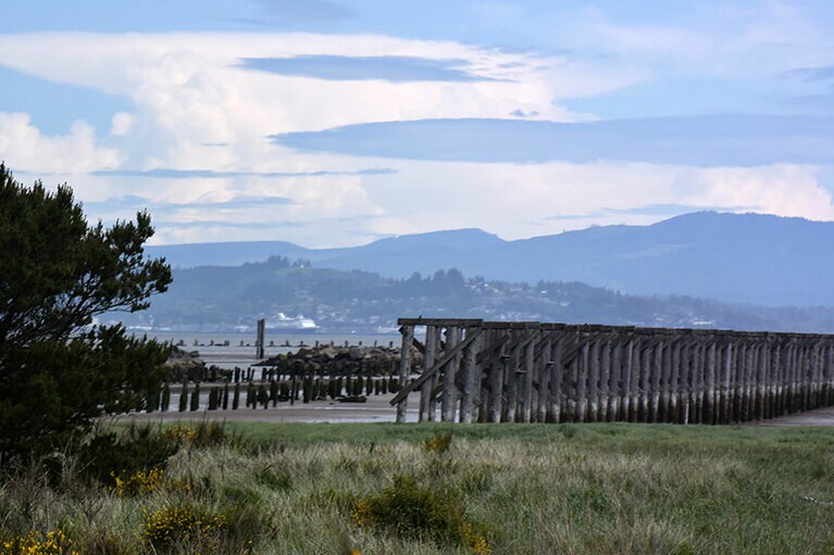 約2.4キロも続く、木製の構脚跡。かつて桟橋建造に使用した列車を運ぶために造られたとか。