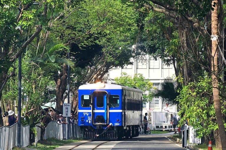 緑の中をディーゼルカーが走り抜ける姿には、誰もがときめきを感じるはず。