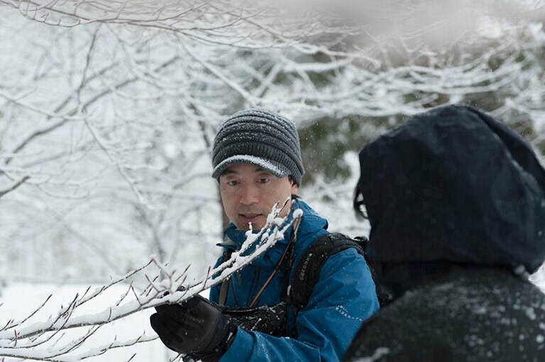湿気が高い日は、枝の上にも雪が積もり、いっそう美しい風景が見られる。