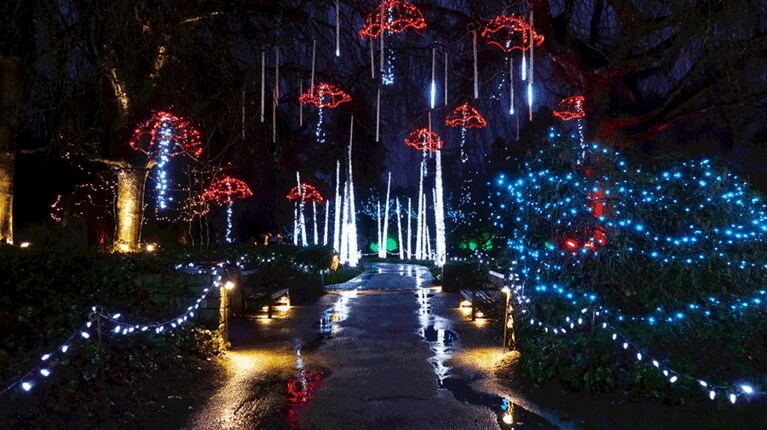 冬に雨の多いバンクーバーにライトニング・イン・ザ・レイン♪