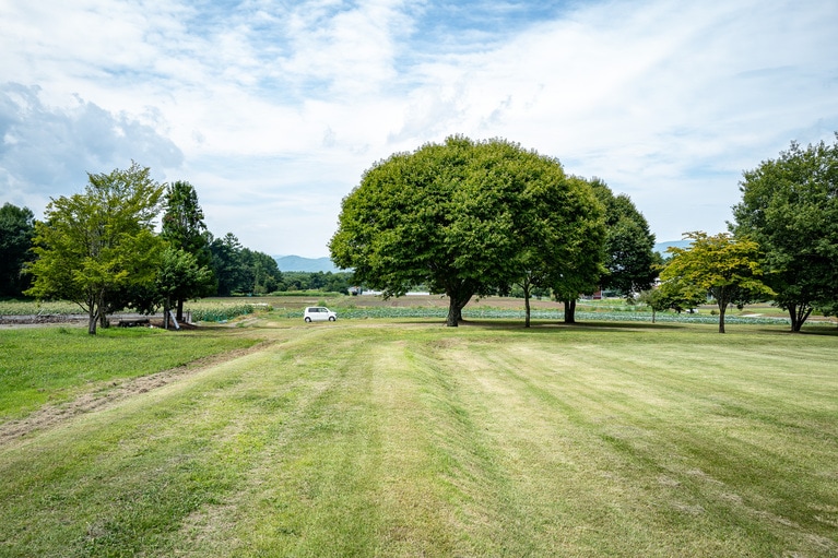 遺跡周辺は公園になっています。