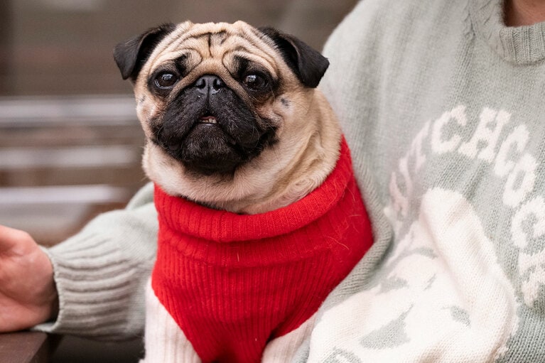 アザーカット。