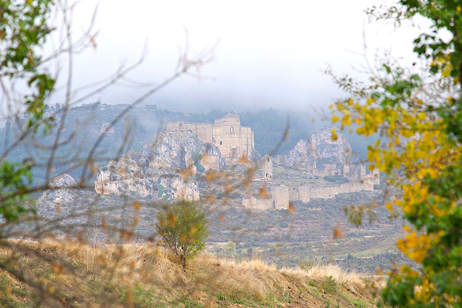 ロアーレ城遠景。円塔をもつ城壁が2重に城を守っているのが見える。