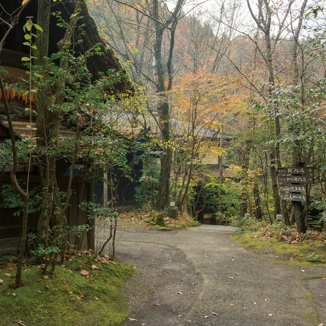 澄んだ空気に満ちた敷地内には「足湯小屋」や「月見台」がある。