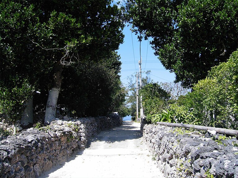 サンゴを積み上げた石垣が続く、上地島の集落。