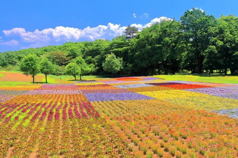 やくらいガーデン／宮城県