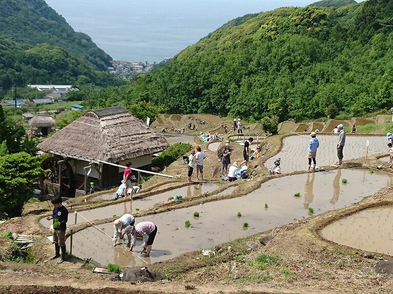 石部田植え祭。