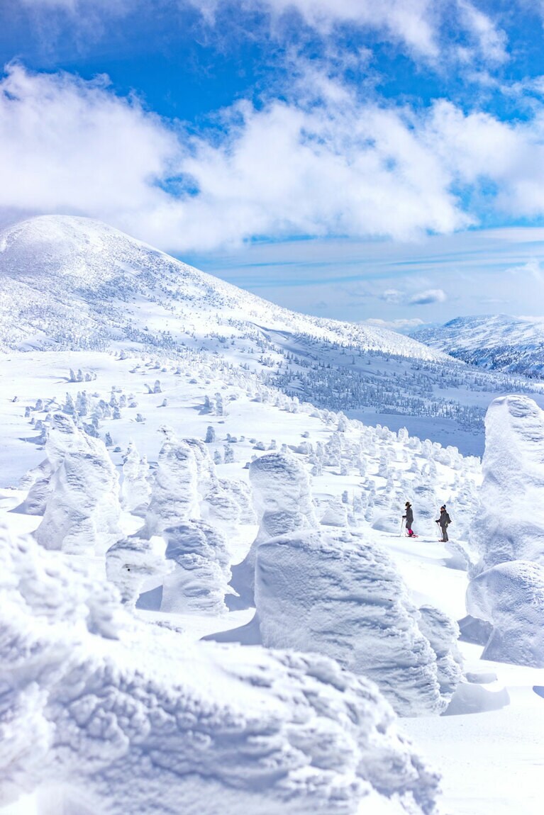 山頂公園駅を出るとすぐ樹氷が現れ、気軽に見学できる。