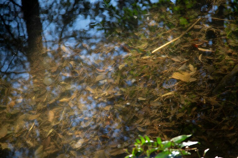 撮影：中村佑子