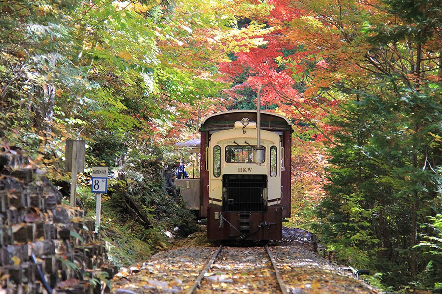 秋の木曽路 赤沢自然休養林。