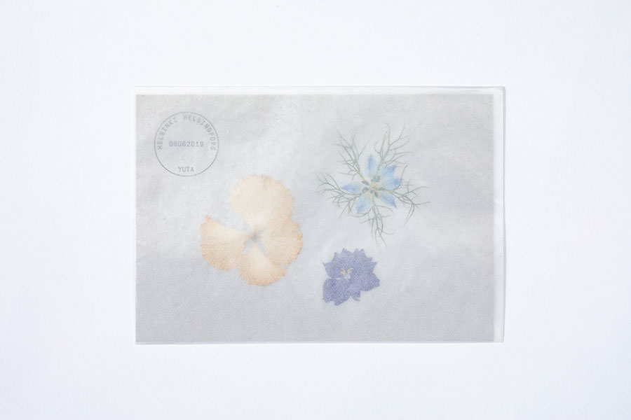 限定版にインサートされたedenworksによる押し花のポストカード。消印は吉田昌平のデザイン。