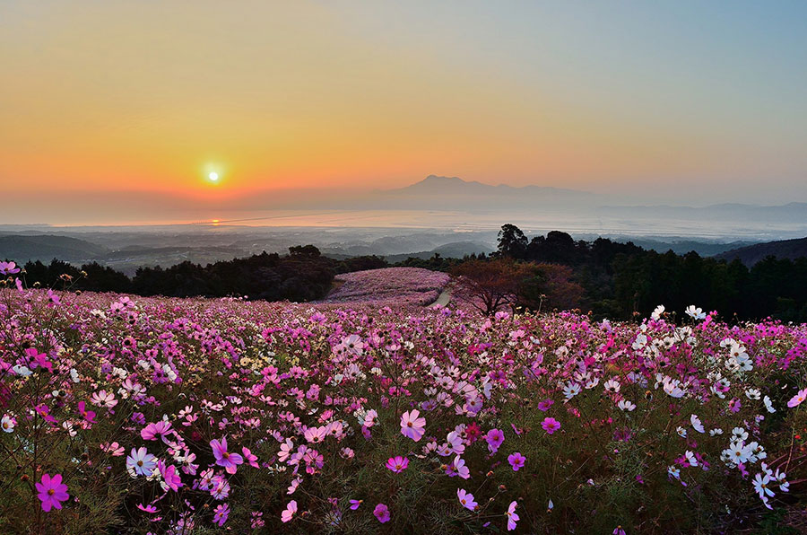 【長崎県】白木峰高原。