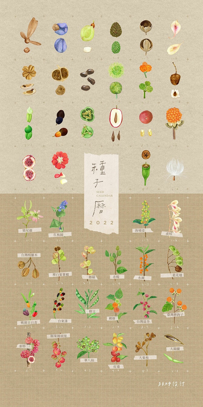 表紙も素敵です。