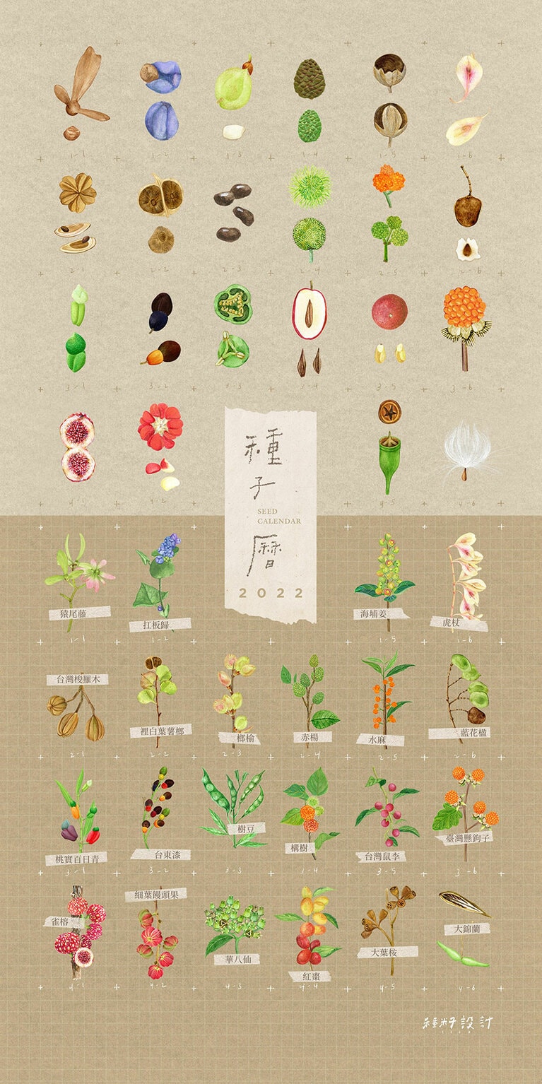 表紙も素敵です。