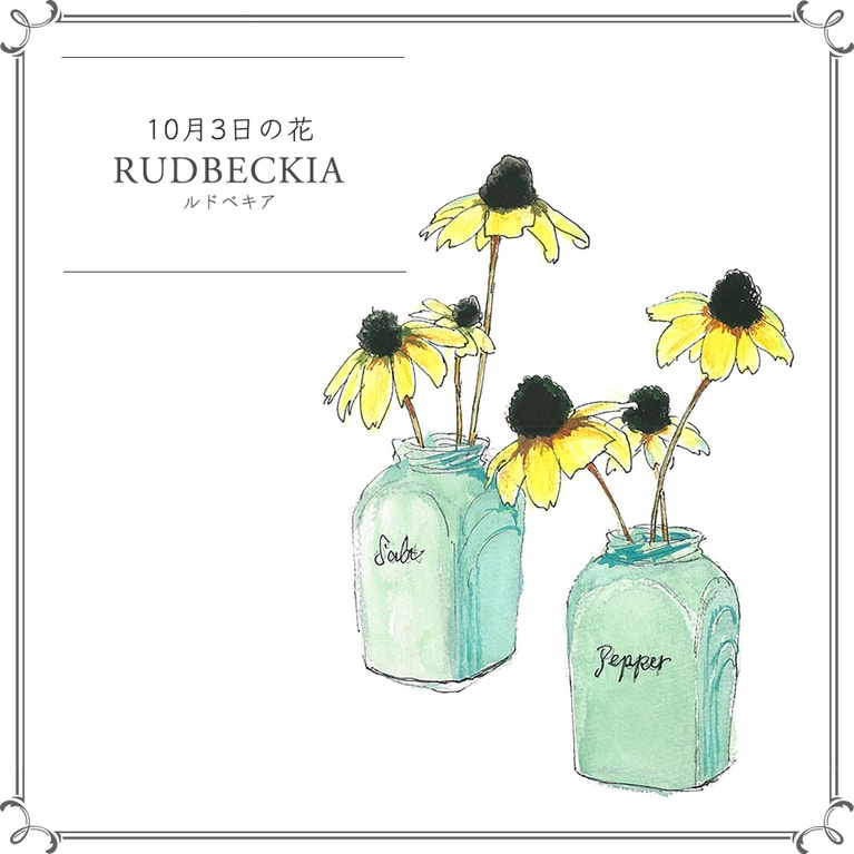 10月3日の花「ルドベキア」