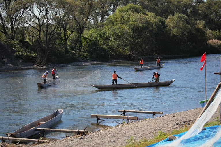 【新潟県】三面川の伝統漁法 居繰網漁。