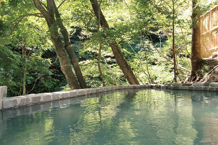 【鈴森の湯】日本屈指の硬度があり飲泉もOK。源泉は酸化還元率が＋220以上あり、アンチエイジングの手助けにもなる美肌の湯。