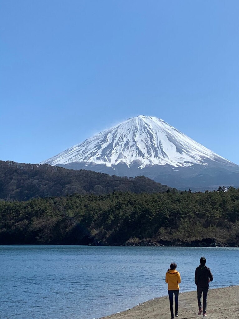 天気によって見え方が変わり、それも定点観測の楽しみ(3月撮影・快晴の午前)。