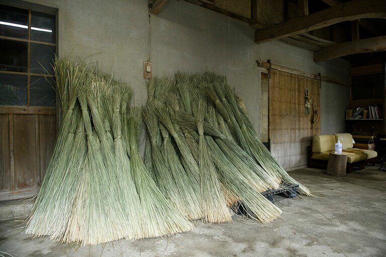 工芸品に使われる七島藺。